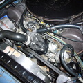 6.9 Engine Bay - May 2008 - 2